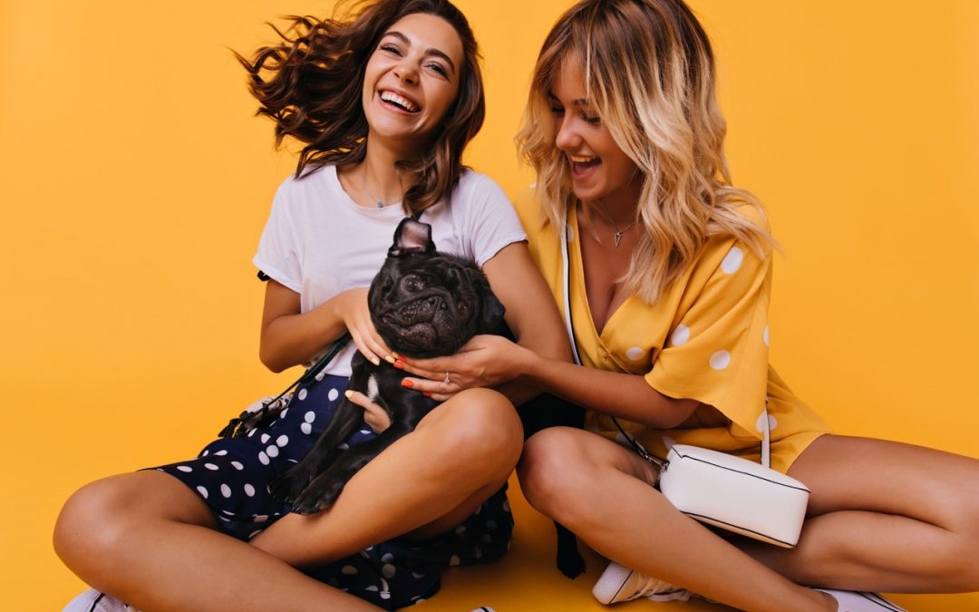 Is Holistic Health Essential for Your Pet?